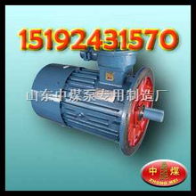 齊全 礦用ybk2防爆電機(jī),ybb系列電機(jī),電動(dòng)機(jī),耙斗機(jī)用電機(jī),礦用防爆電機(jī),電機(jī),防爆電機(jī),交流電機(jī),